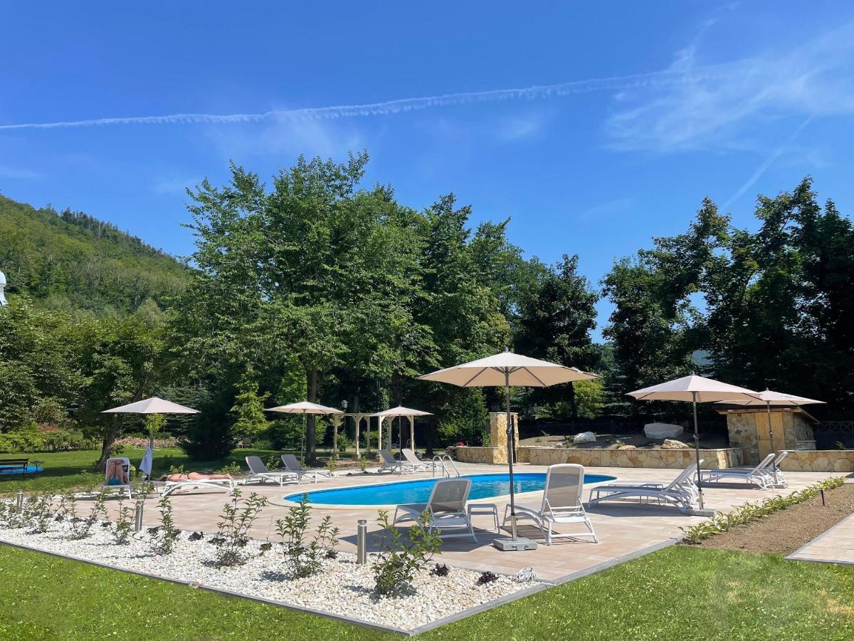 Villa Elise Park Pension Stronie Slaskie Exterior foto