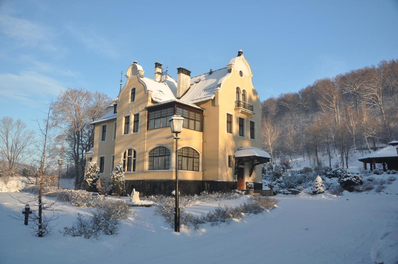 Villa Elise Park Pension Stronie Slaskie Exterior foto